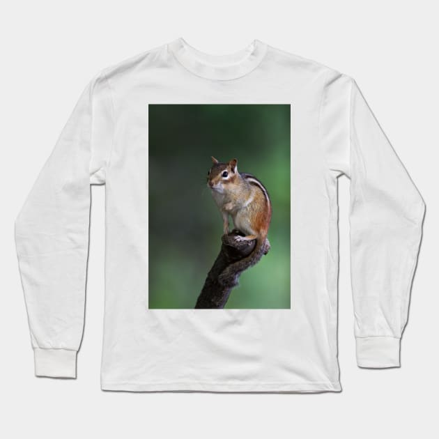 Poser - Chipmunk Long Sleeve T-Shirt by Jim Cumming